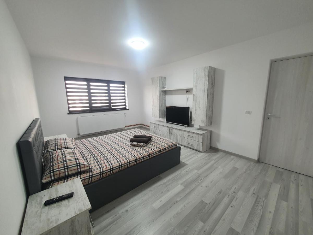 Apartament Nicole Curtea de Argeş Εξωτερικό φωτογραφία